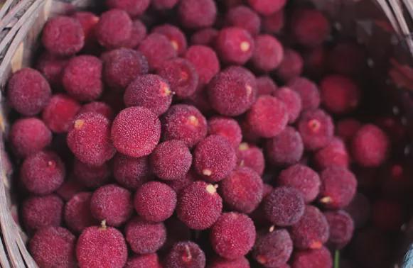 过年必买的10种年货推荐,有什么事年后再说