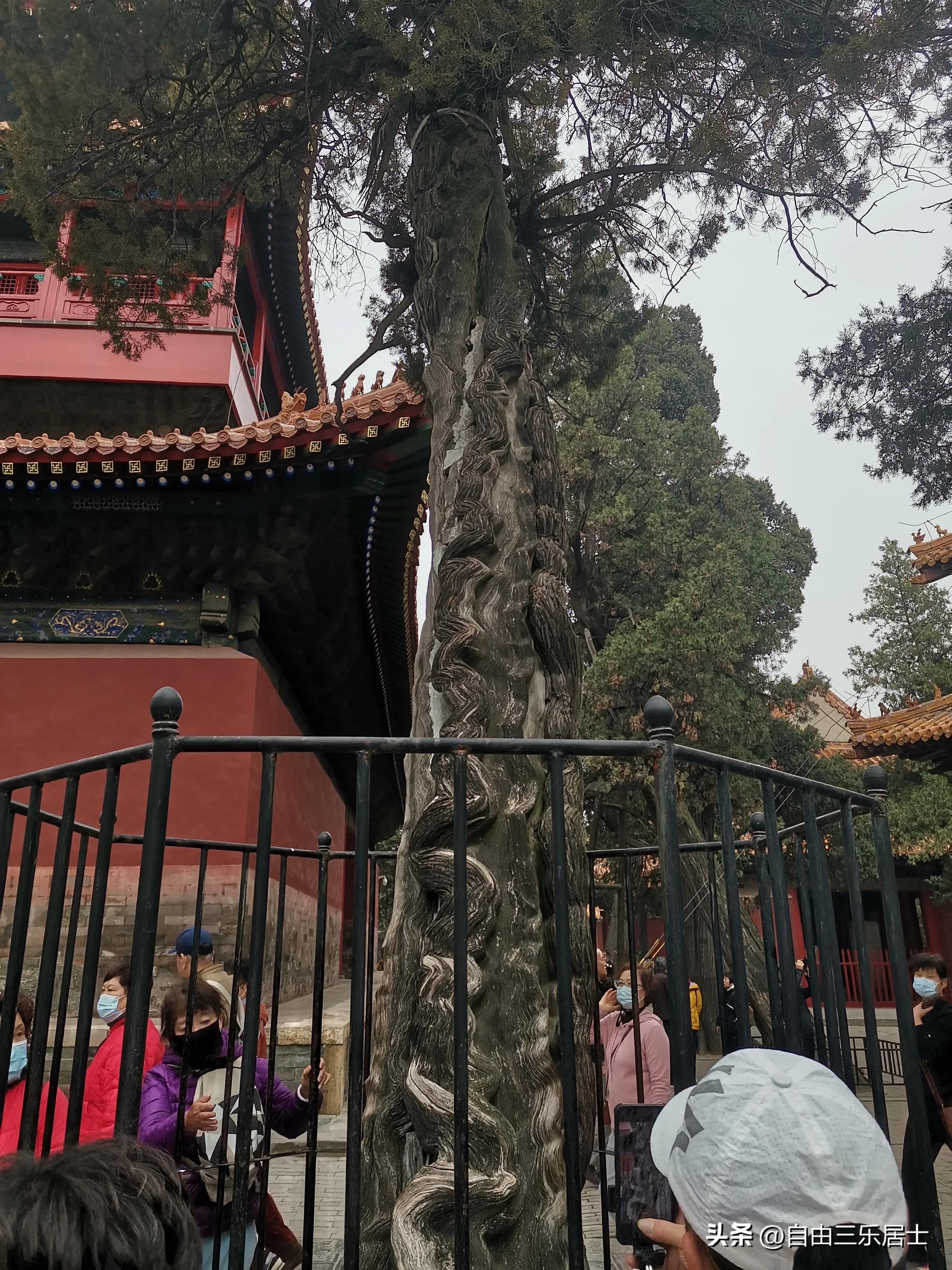 曲阜三孔游记全集,讲好山东故事三孔游记