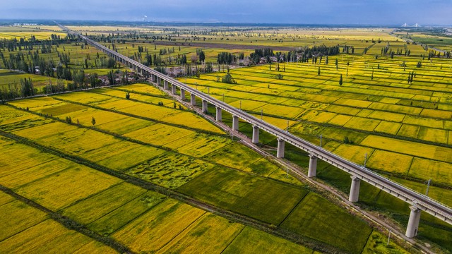 新型农村集体经济新在哪里,新型村集体经济实施方案