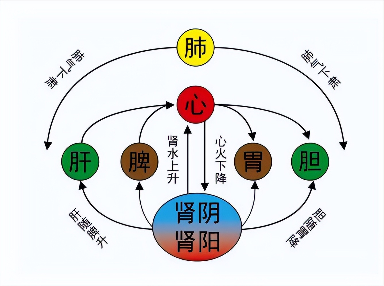 鏃╂硠,濡備綍涓嵂璋冪悊鏃╂硠