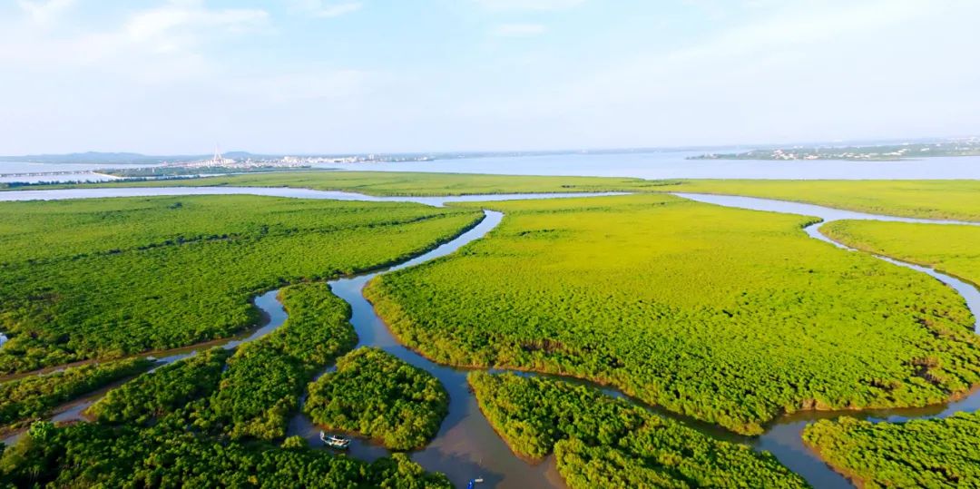 诗中溢出东坡味！海口邀您来尝鲜！
