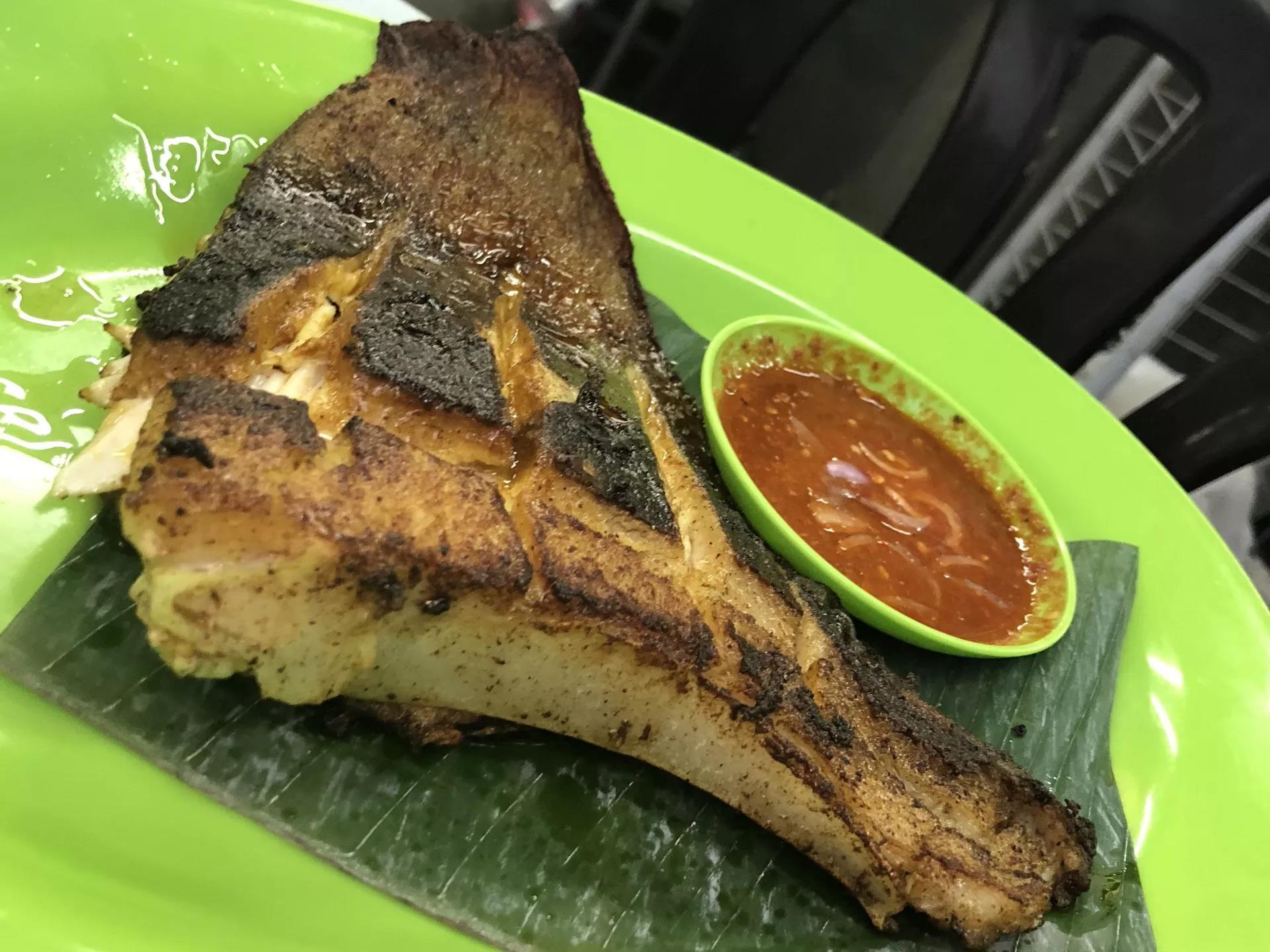 钱猫猫王者荣耀,钱猫猫的视频