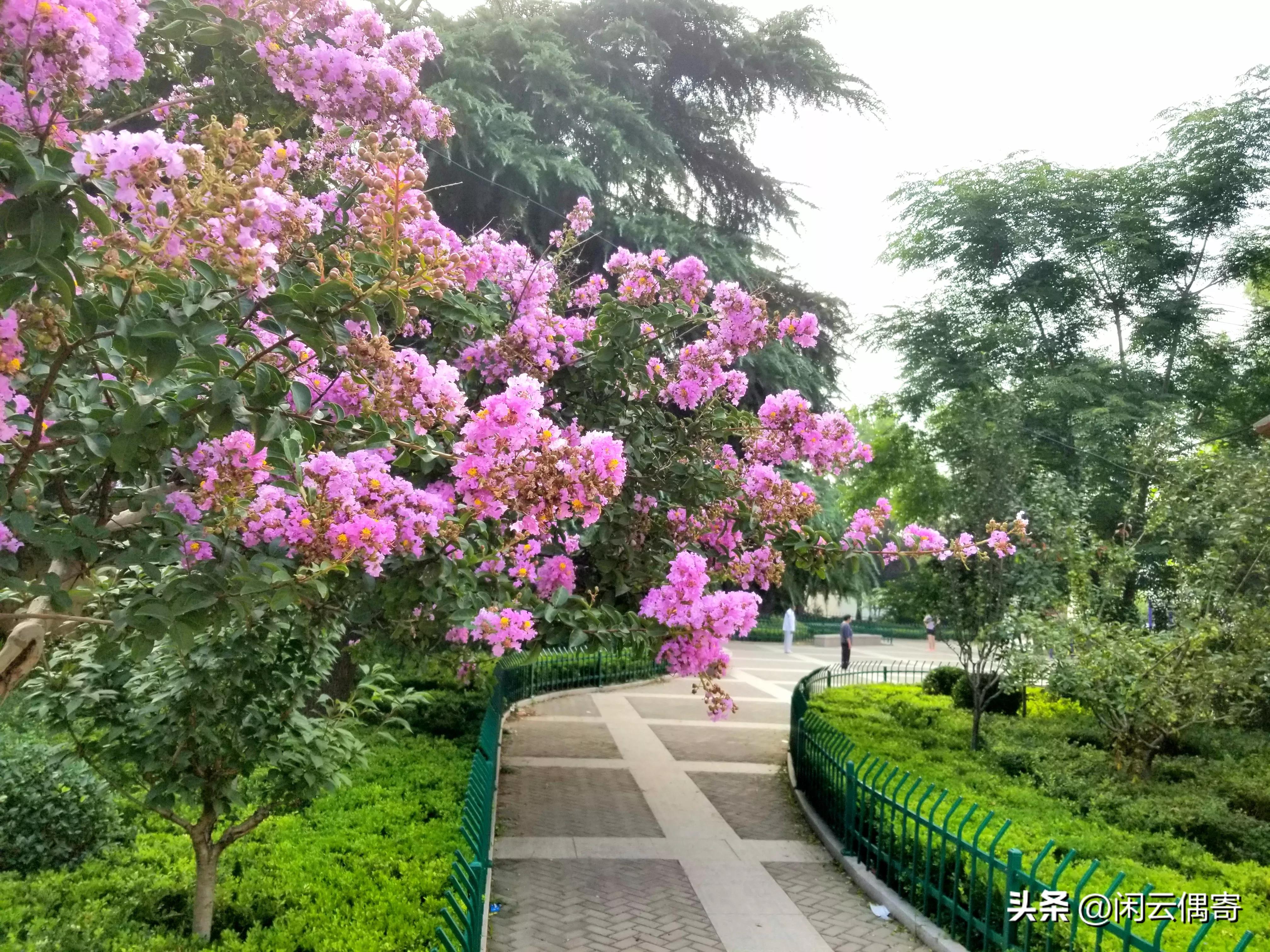 冤家遇见栾平,开心事