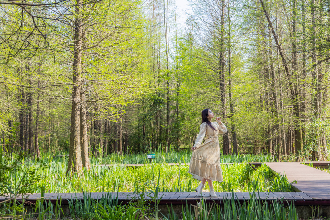 春日下江南杭州,泰州一日游攻略美食