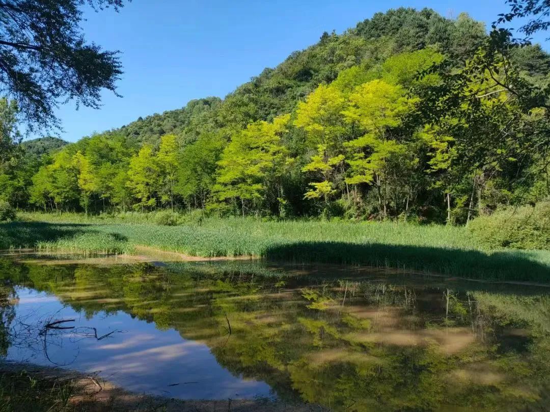 我是灵台，这是我的名片