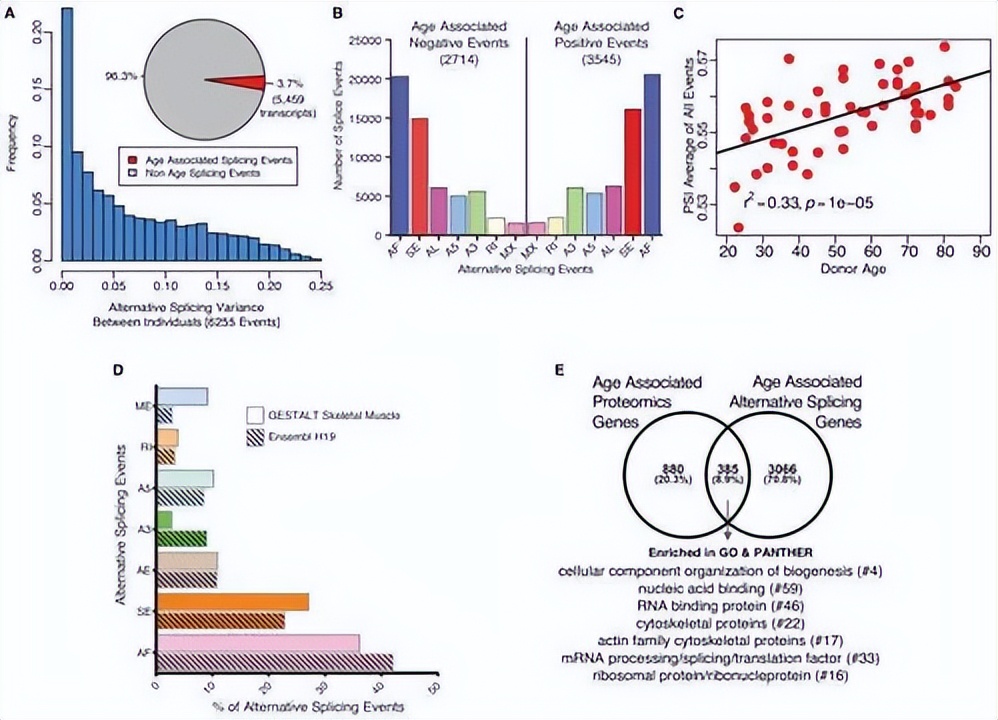 ZIP转运蛋白内部锌摄取的组氨酸突变体细胞活性自我调控机制