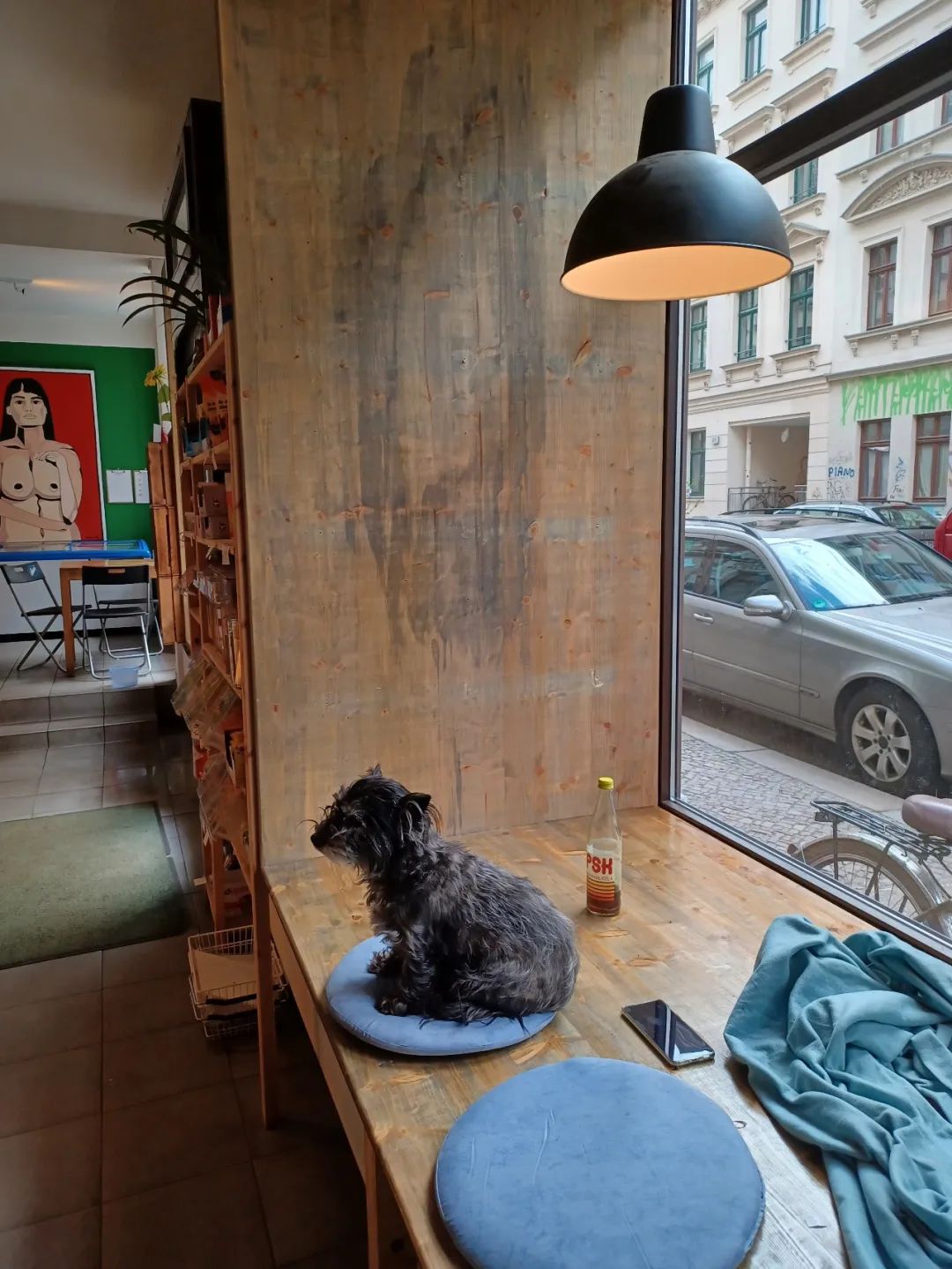 85后橘子在德国：借款10万，开店多家，成功逆袭成富婆