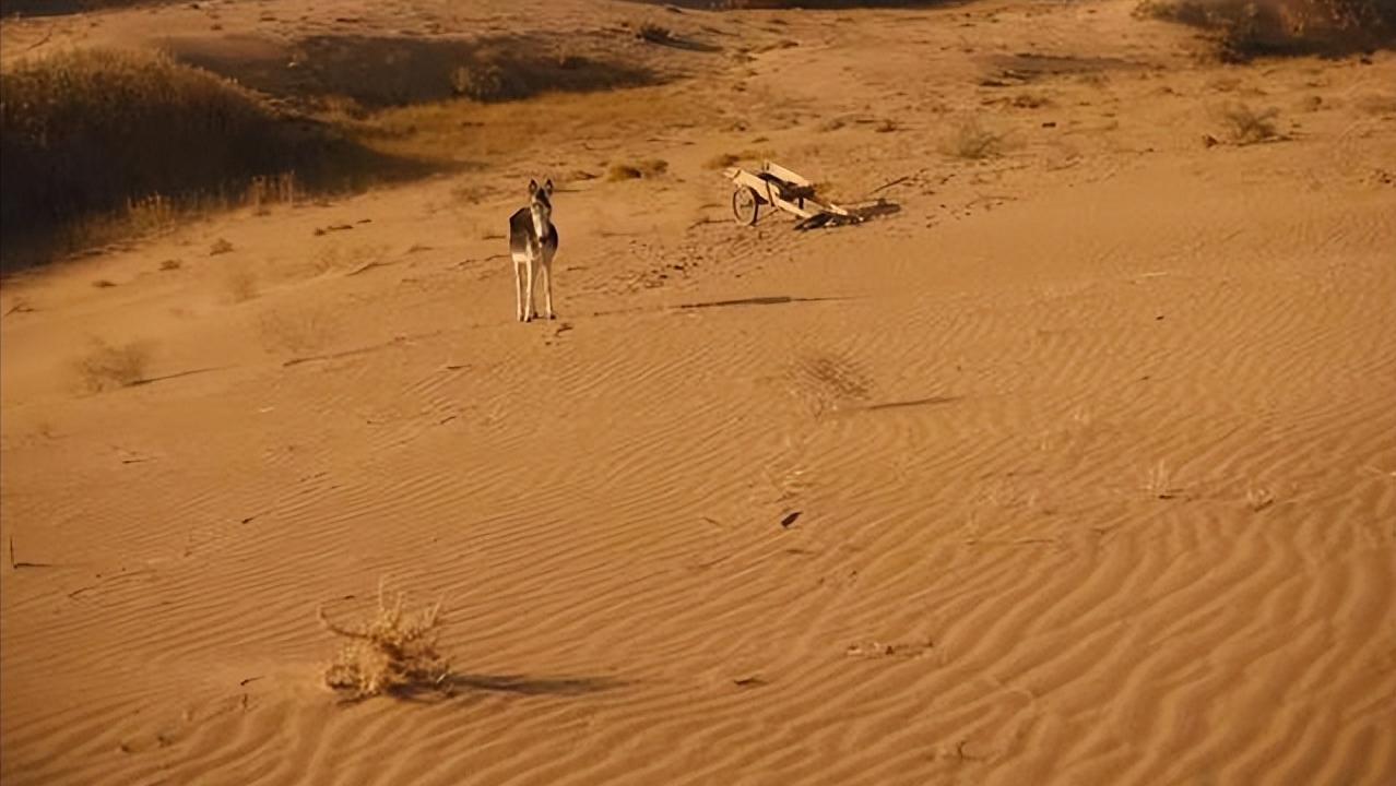 土地《失语者》边缘人物《隐入尘烟》