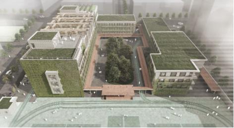 设计师进校园，助力校园环境提升