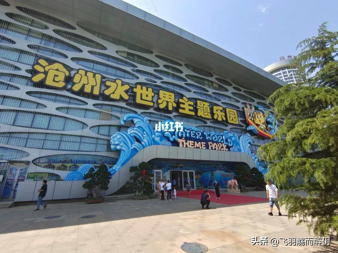 五一沧州一日游最佳攻略,沧州人五一去哪儿玩