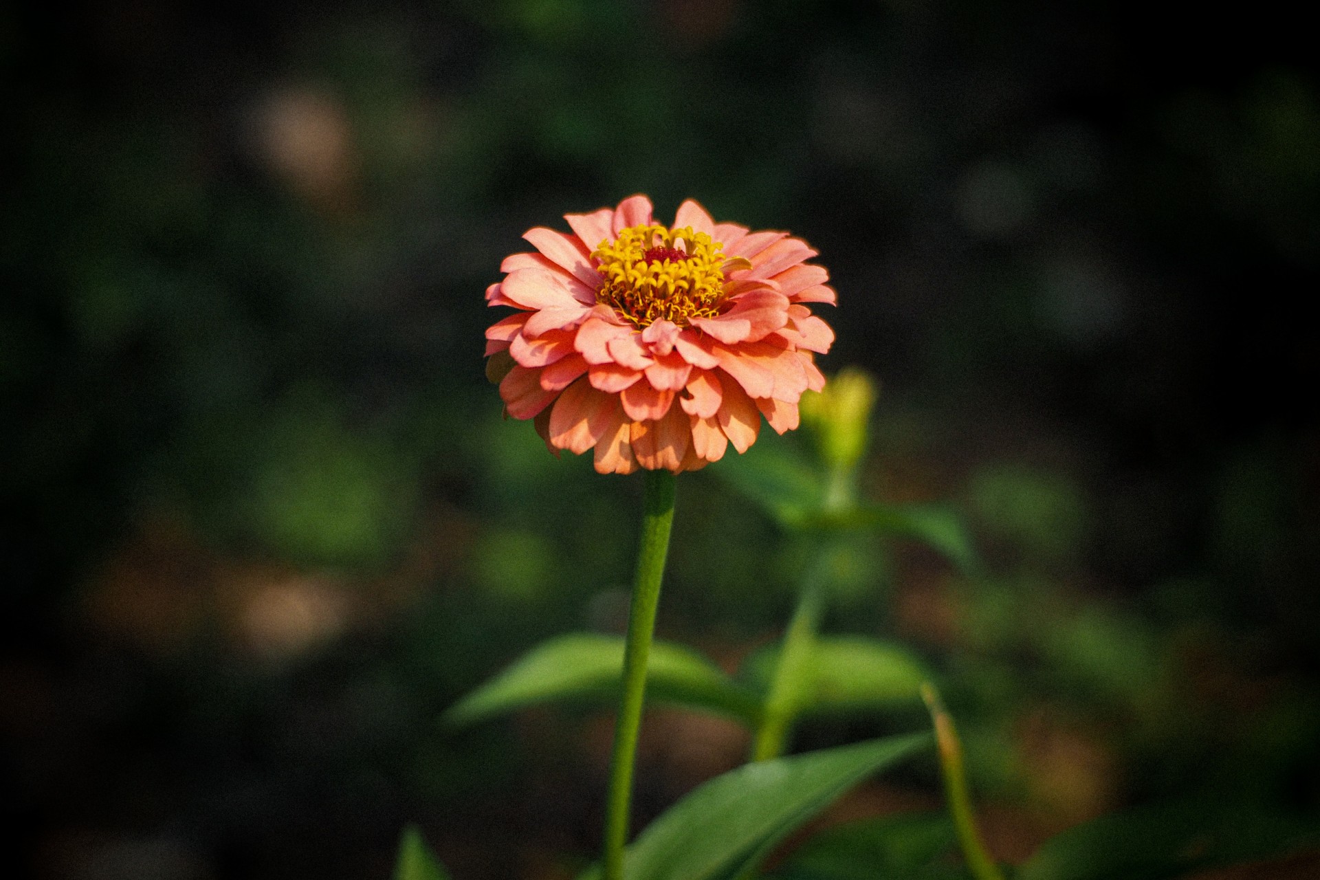 女人一定要有个蓝颜知己,做你一辈子的蓝颜知己