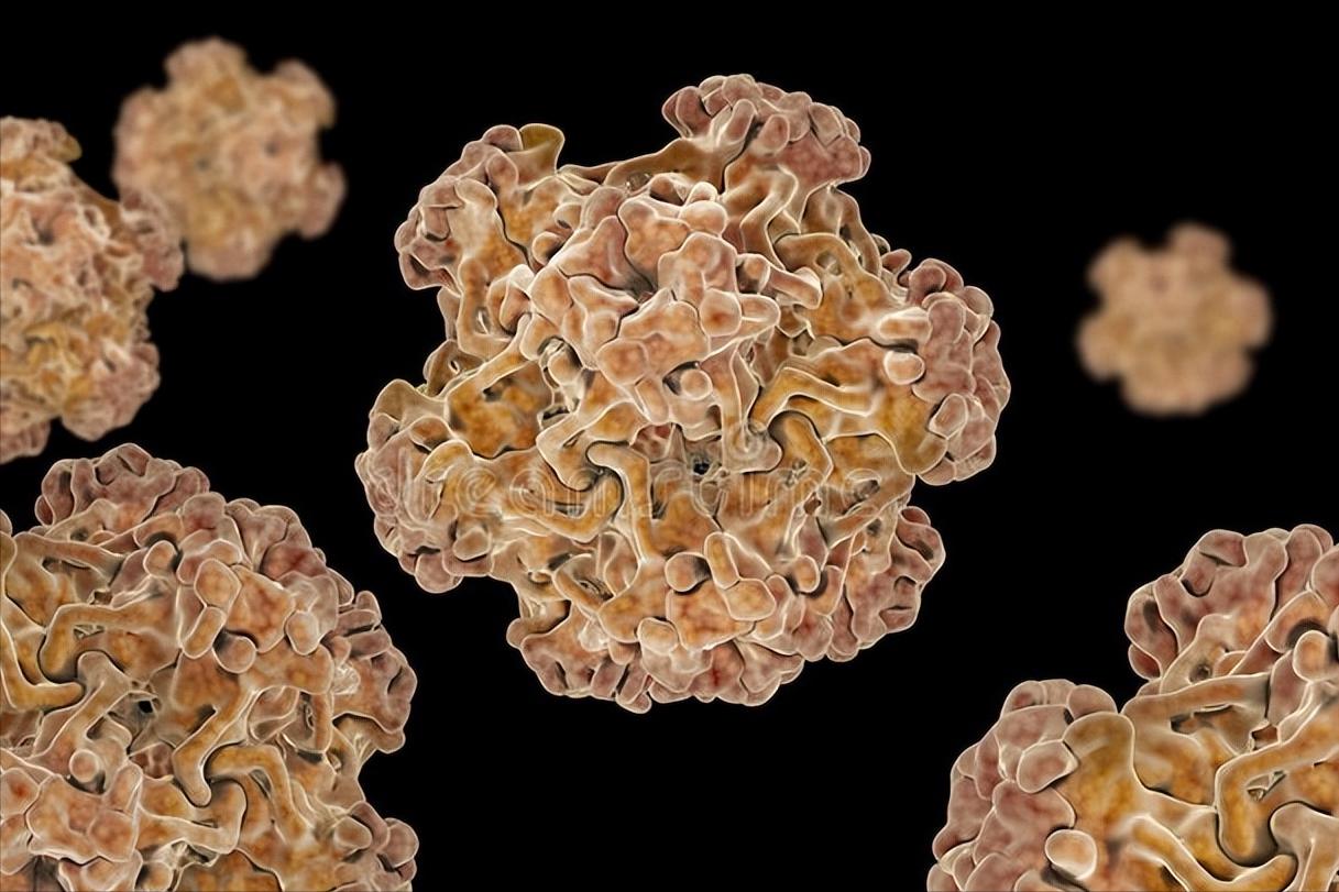 派特生物治疗尖锐有效果吗,派特灵治疗尖锐湿疣是骗人的吗