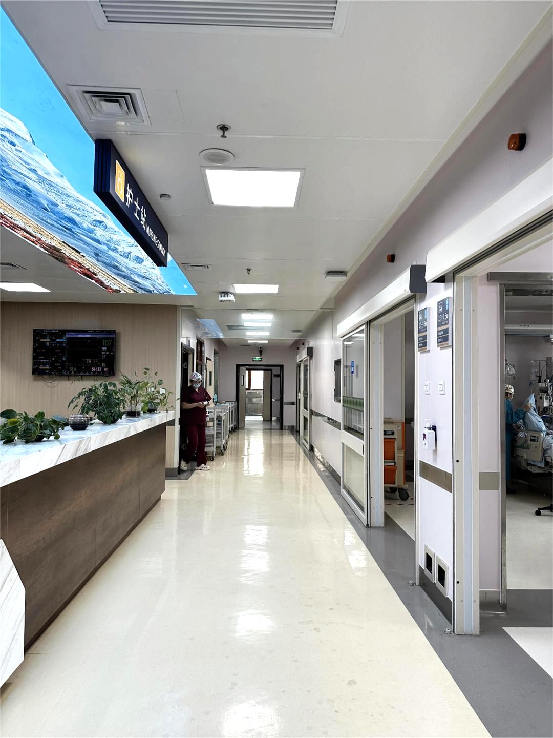 初夏花开医路有你——走进“男”能可贵的“男”丁格尔