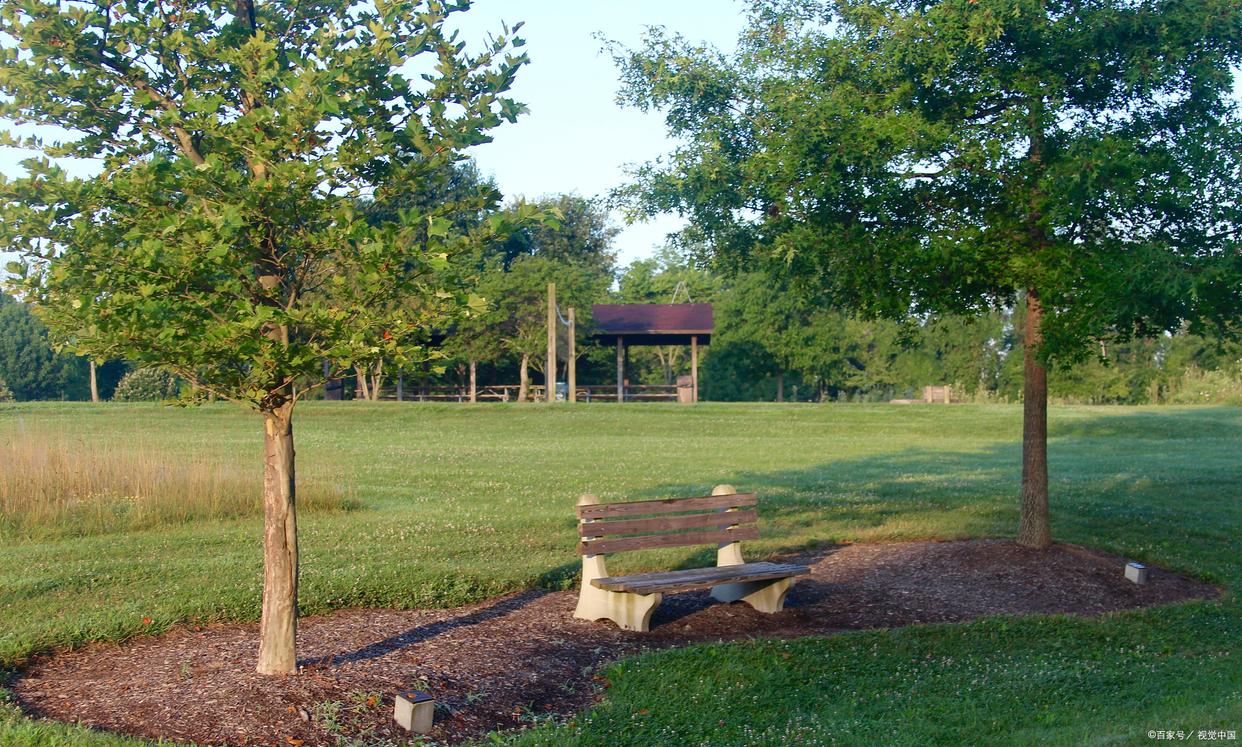 如何用手机相机拍出摄影师的照片,手机摄影照片分享