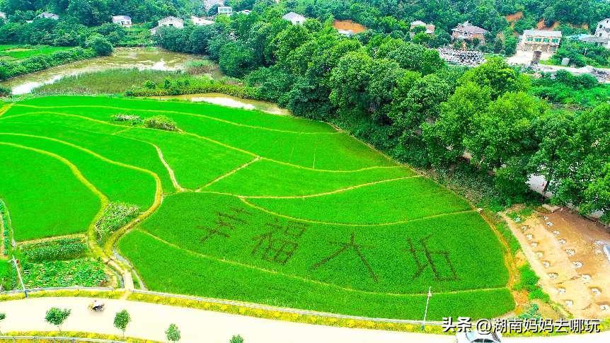 长沙近郊一日自驾游攻略,长沙大观园旅游攻略