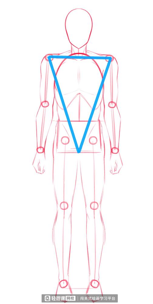 漫画人物人体怎么画,漫画人体结构怎么画好看
