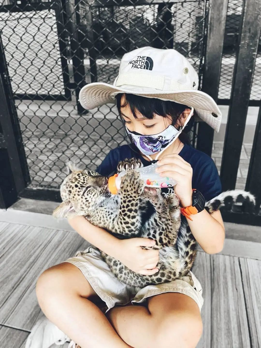 泰国曼谷旅游必去十大景区,泰国野生动物园亲子游