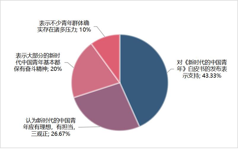新时代的中国青年白皮书的理解,新时代的中国青年白皮书发布会