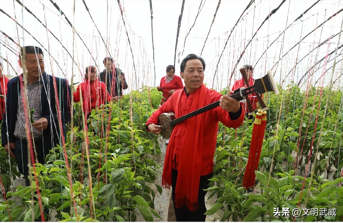 晒一晒，武威市最佳志愿服务项目“出圈”