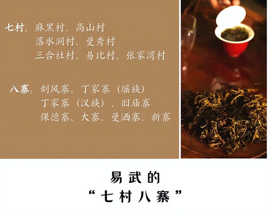 走进原产地带你了解茶叶行情,2023年易武普洱茶价格表全览