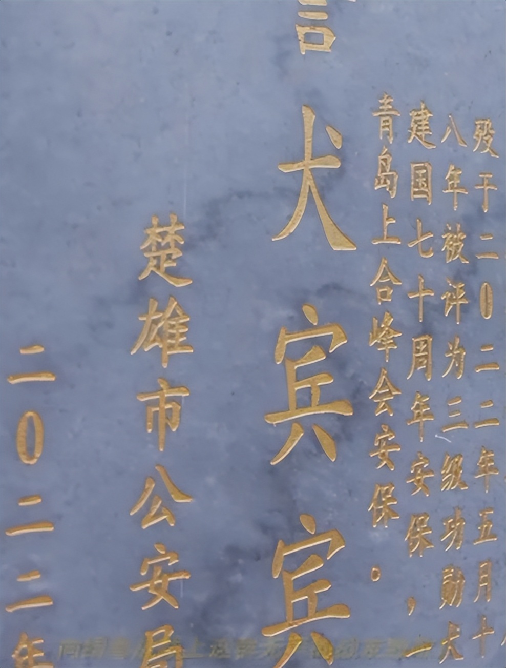 民警遇已故缉毒犬相似狗狗泪崩,民警发现酷似已故缉毒犬