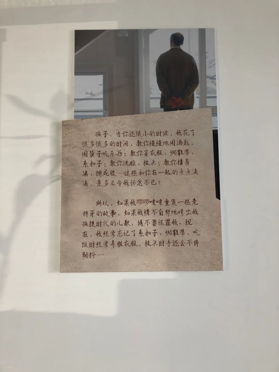 养老院里的情与爱,养老院的生活与向往的一样吗