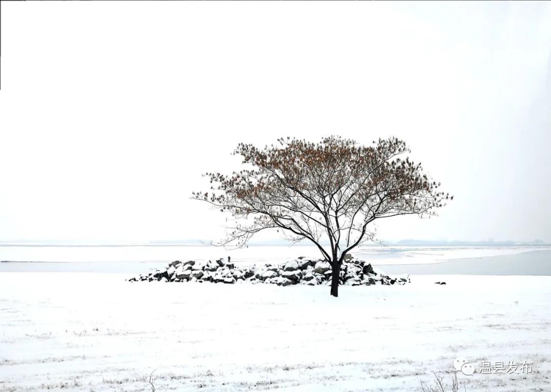 来这里邂逅一场落日余晖的浪漫,来这里邂逅柳州春天里的浪漫