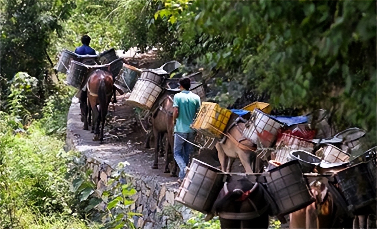山里马帮的真实生活,农村夫妻货车生活真实记录