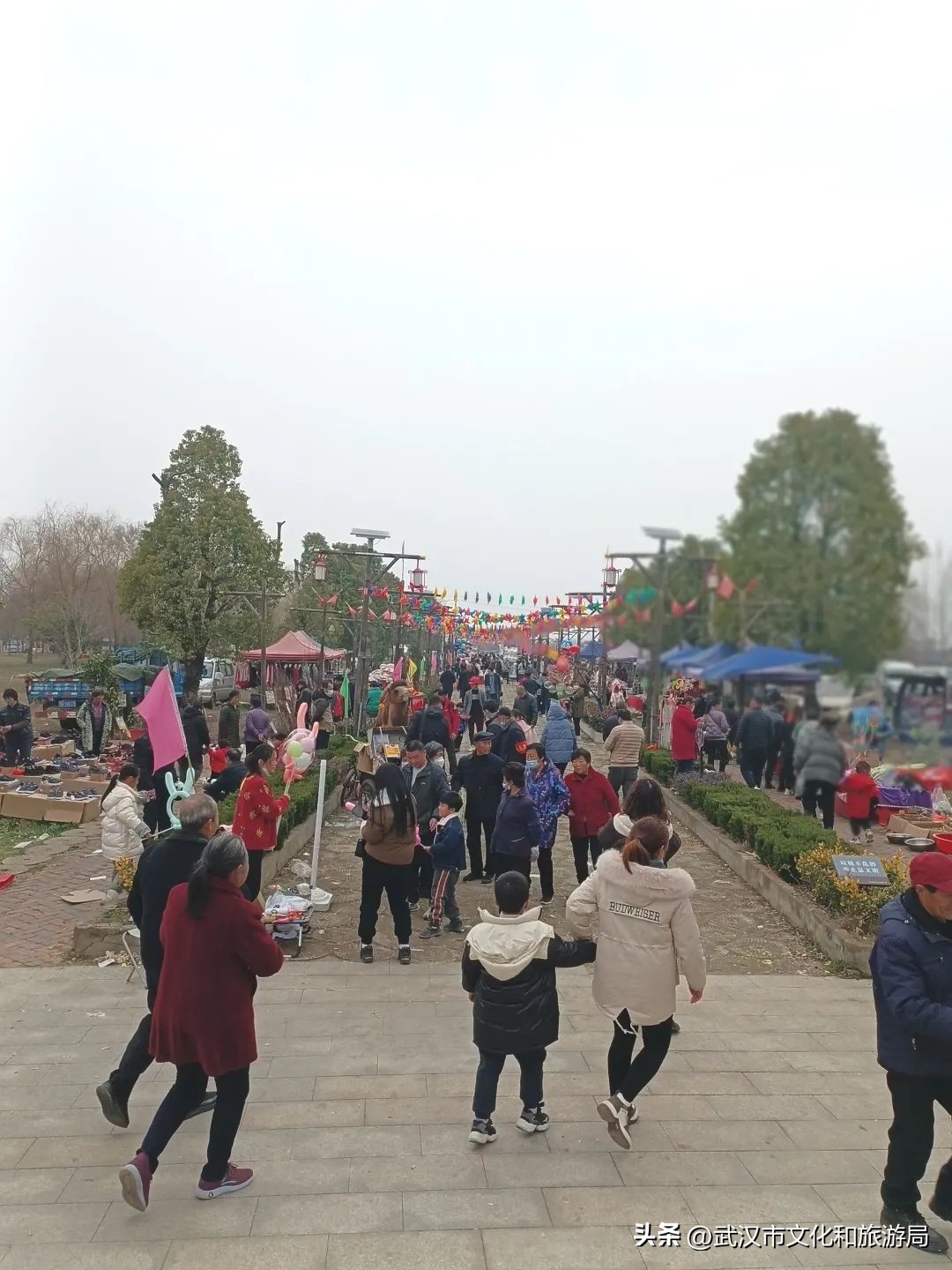 花朝河湾旅游景区本地人要门票吗,潘塘罗杨村花朝河湾景区最新消息