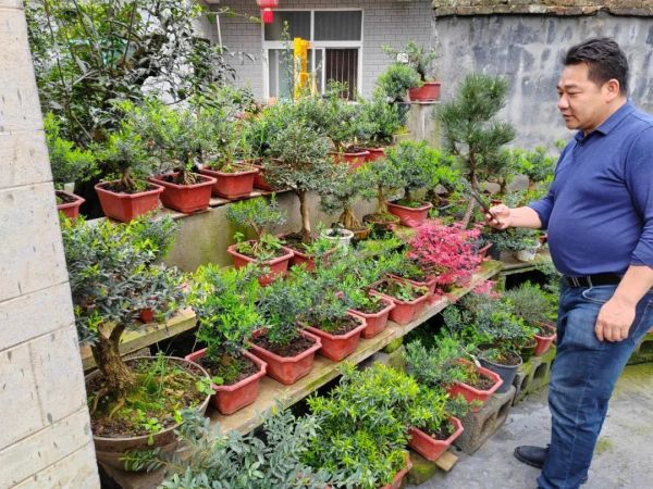 发展庭院经济助推乡村振兴,乡村庭院经济如何打造成大产业