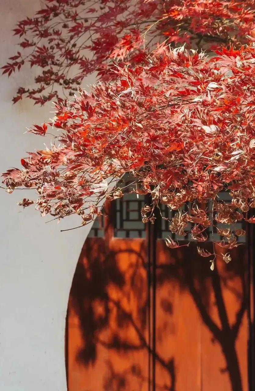 时光微步岁月静往,时光微步岁月静缓的意思