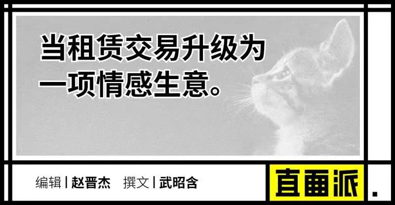 多花数千元为猫赎身，哪些人在买租赁猫？