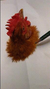 爆笑名场面动图,爆笑动图笑话大全