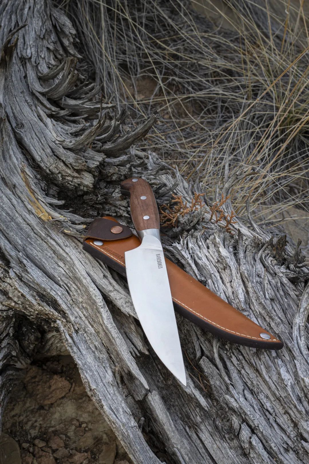 不知道送什么礼物就送茶,不知道送啥礼物就送黄金