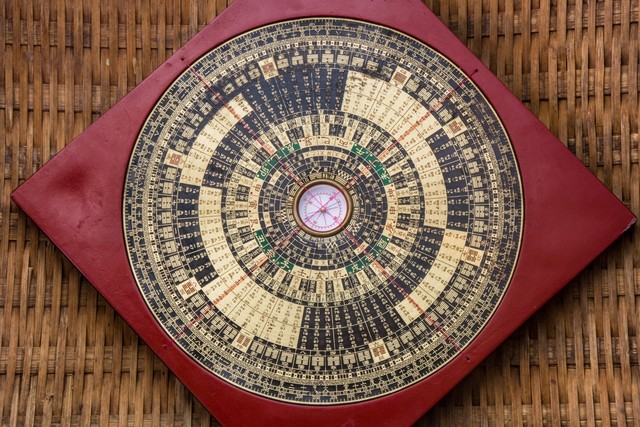 谁说挣钱难？看人家多挣钱，扫树叶一样