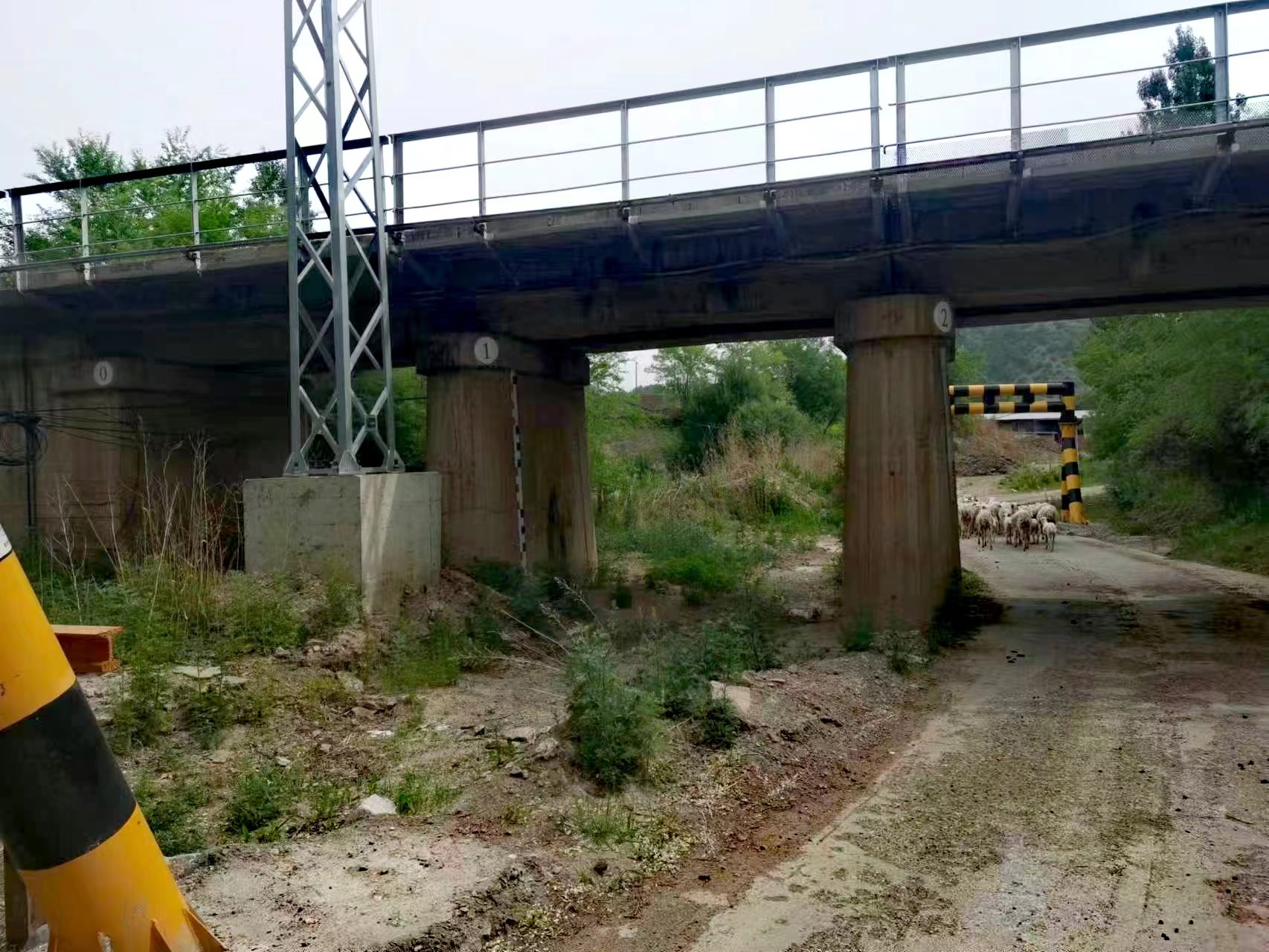 重走塞罕坝,重走昭君和亲路