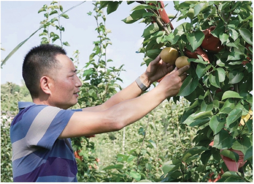 保险融资的四个要素,保险助力企业融资