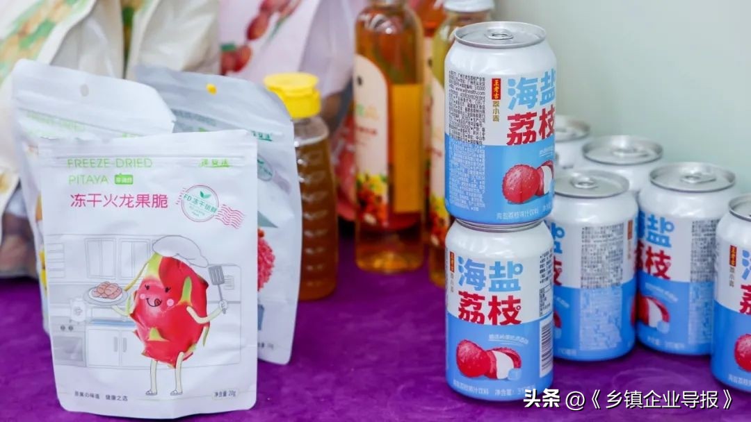 乡村振兴赋能计划人才典型案例,乡村振兴之文化振兴案例