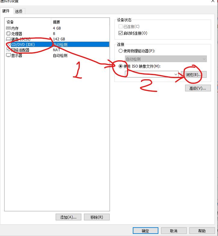 搭建国外软路由,适合小白的软路由系统