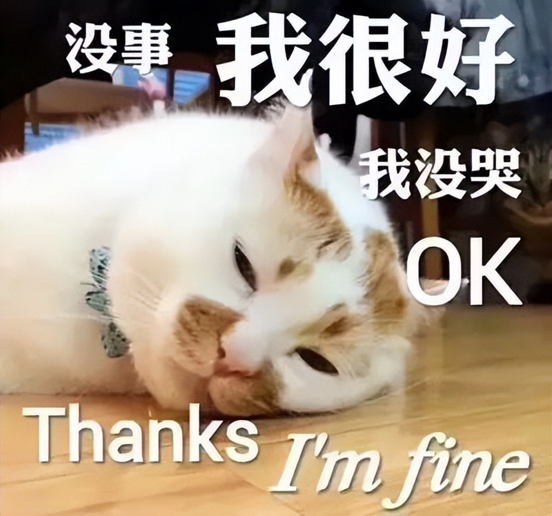 有人网课3年，有人背井离乡，20万港宝悲歌走向大结局