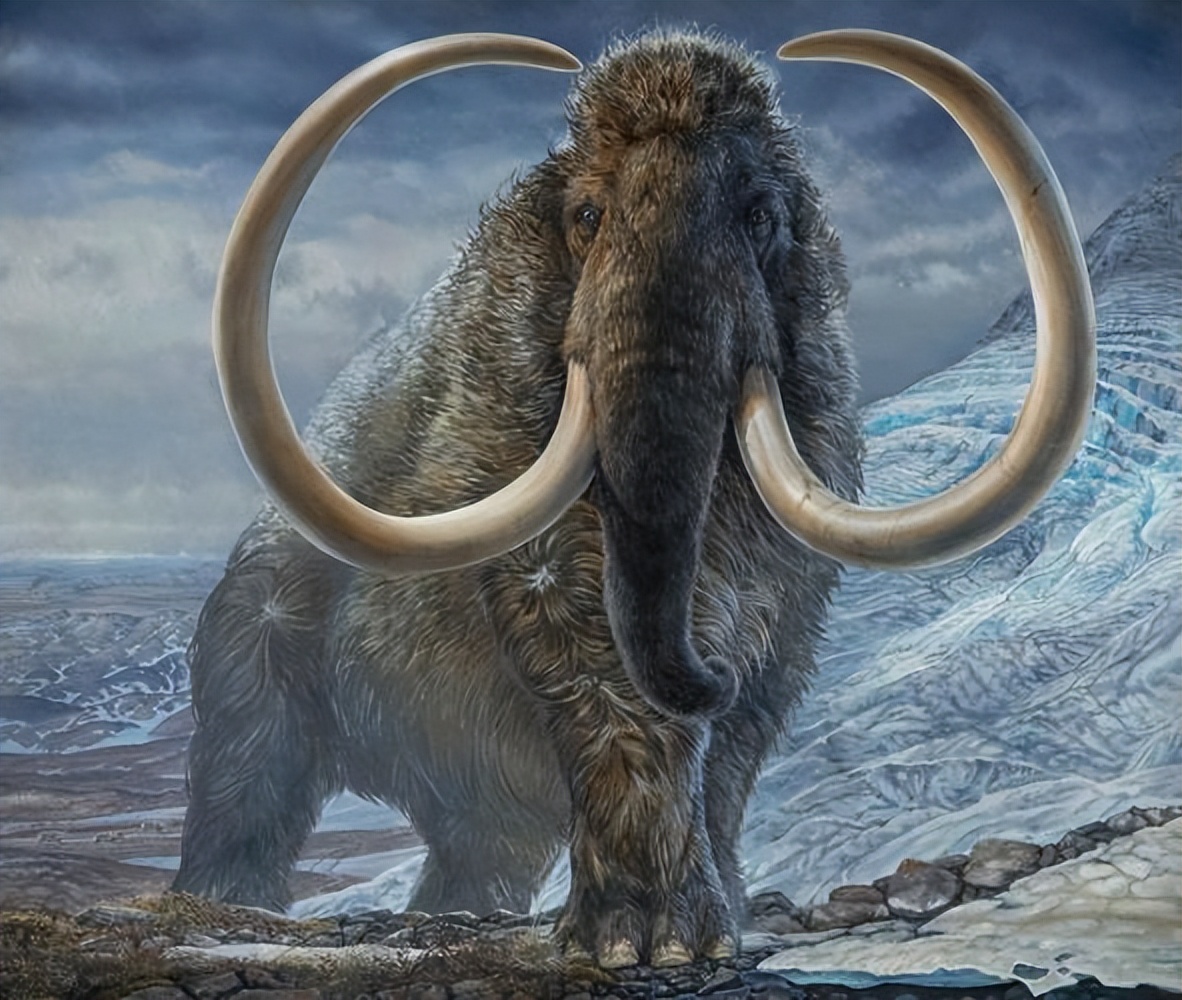 猛犸象基因组打破最古老dna的纪录,猛犸象与非洲象的基因对比