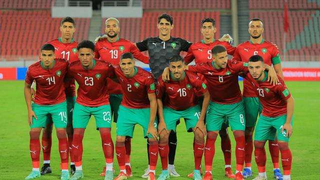 非洲杯进行时！这些非洲球队的绰号，你了解几个呢？