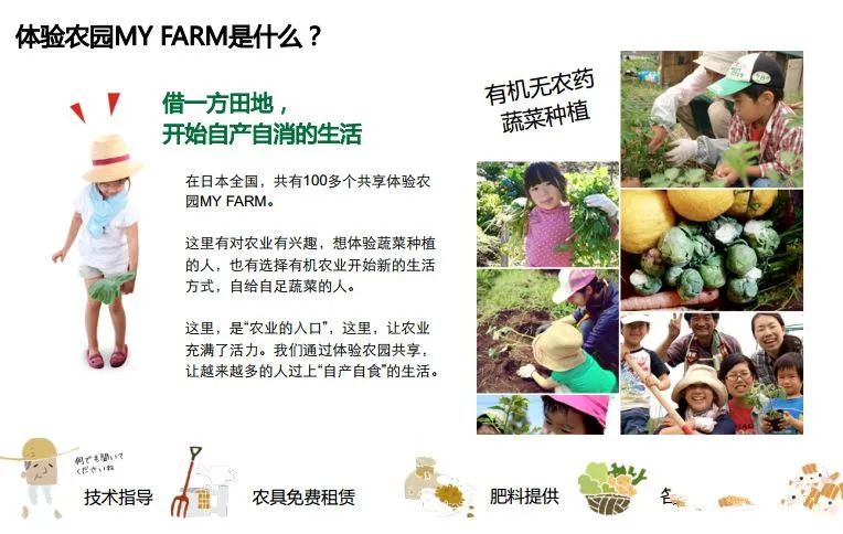 1.5亩地收入却高达19万,这个“共享农场”有啥秘诀?