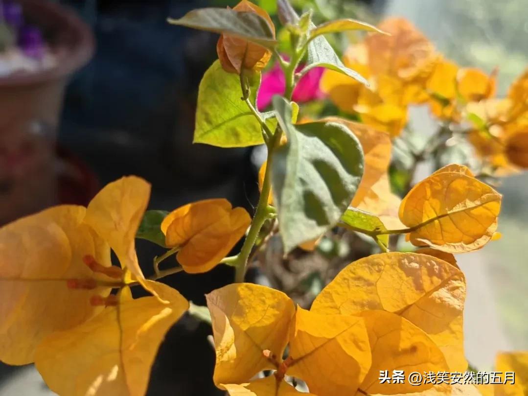 全职家庭主妇怎么攒私房钱,家庭主妇攒多少私房钱