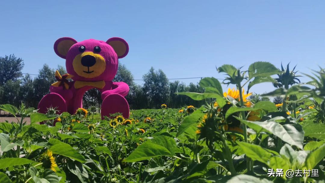 畅游五一丨在田园山水之畔，安放一缕乡愁，银川11家度假山庄攻略