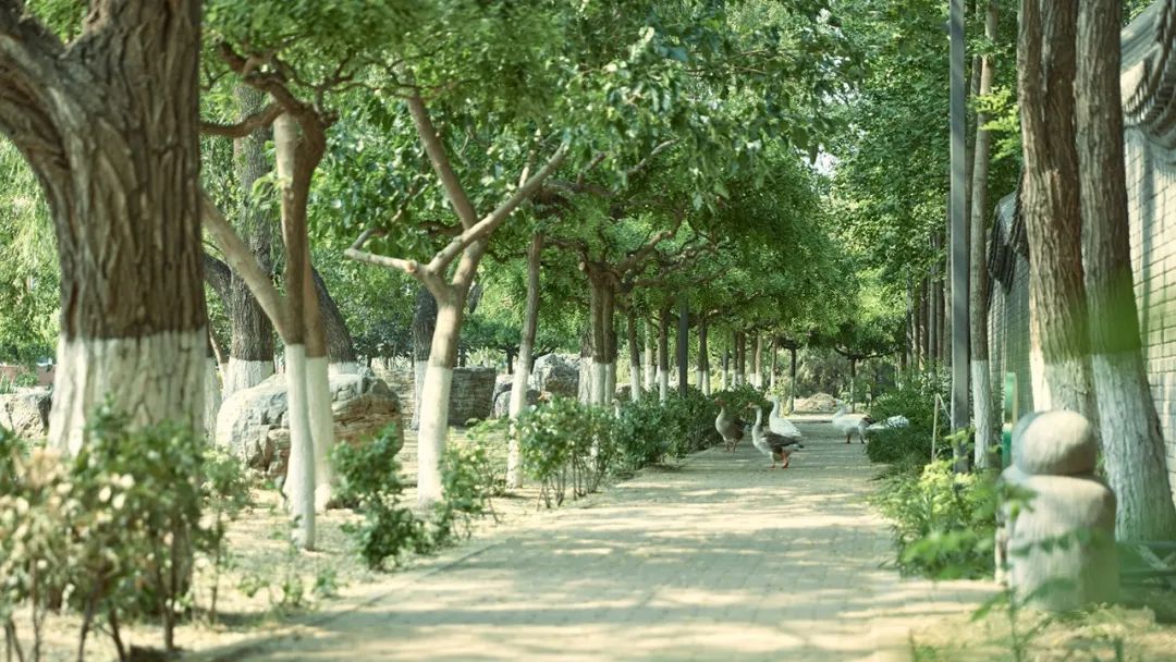 北京服装艺术学院考研招生简章,京美考研