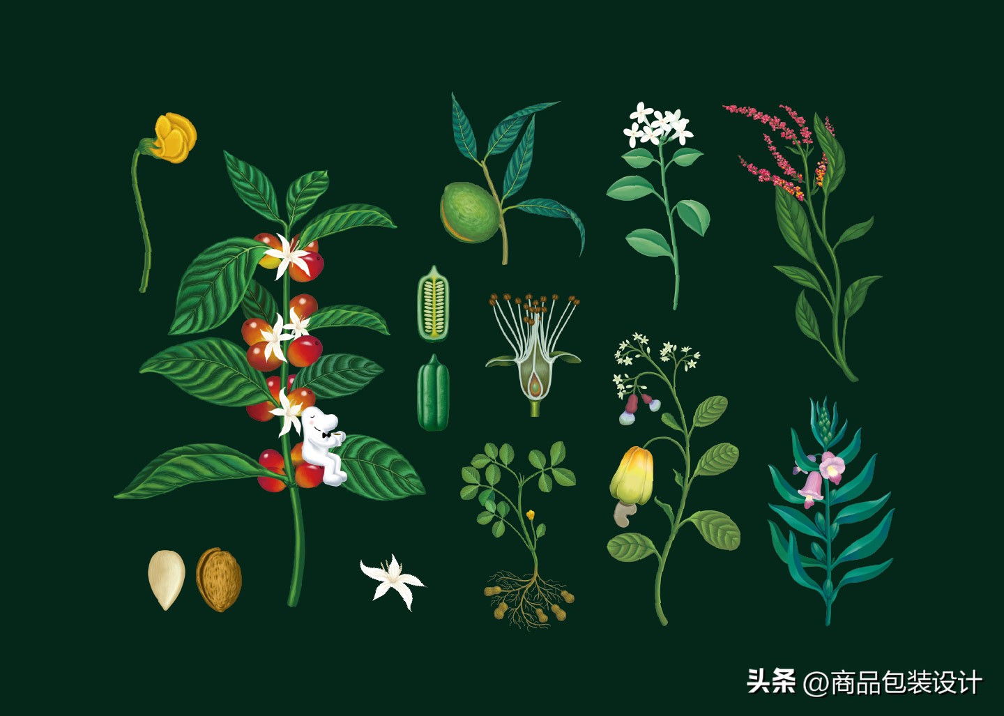 gift-you中秋咖啡礼盒包装设计via:蒋龙浩