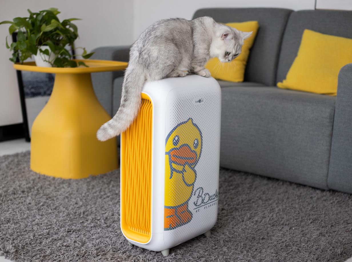 高端国货小家电品牌,这几款国货强品值得推荐