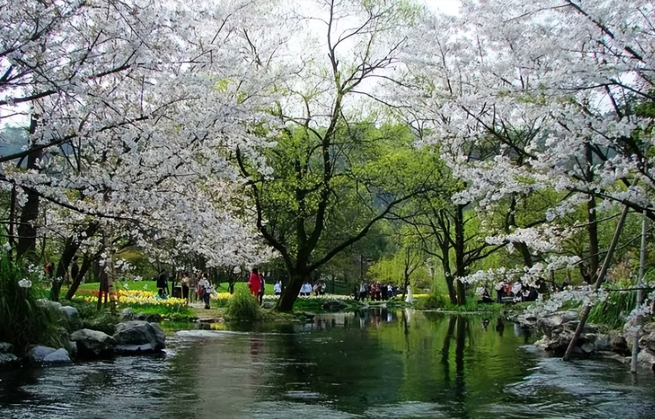 中国未来最看好城市排名,我国未来最吃香十大城市