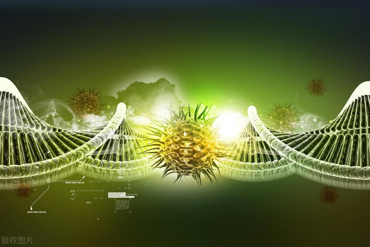 梅毒治疗过程中需要注意什么,梅毒各个阶段的治疗方法